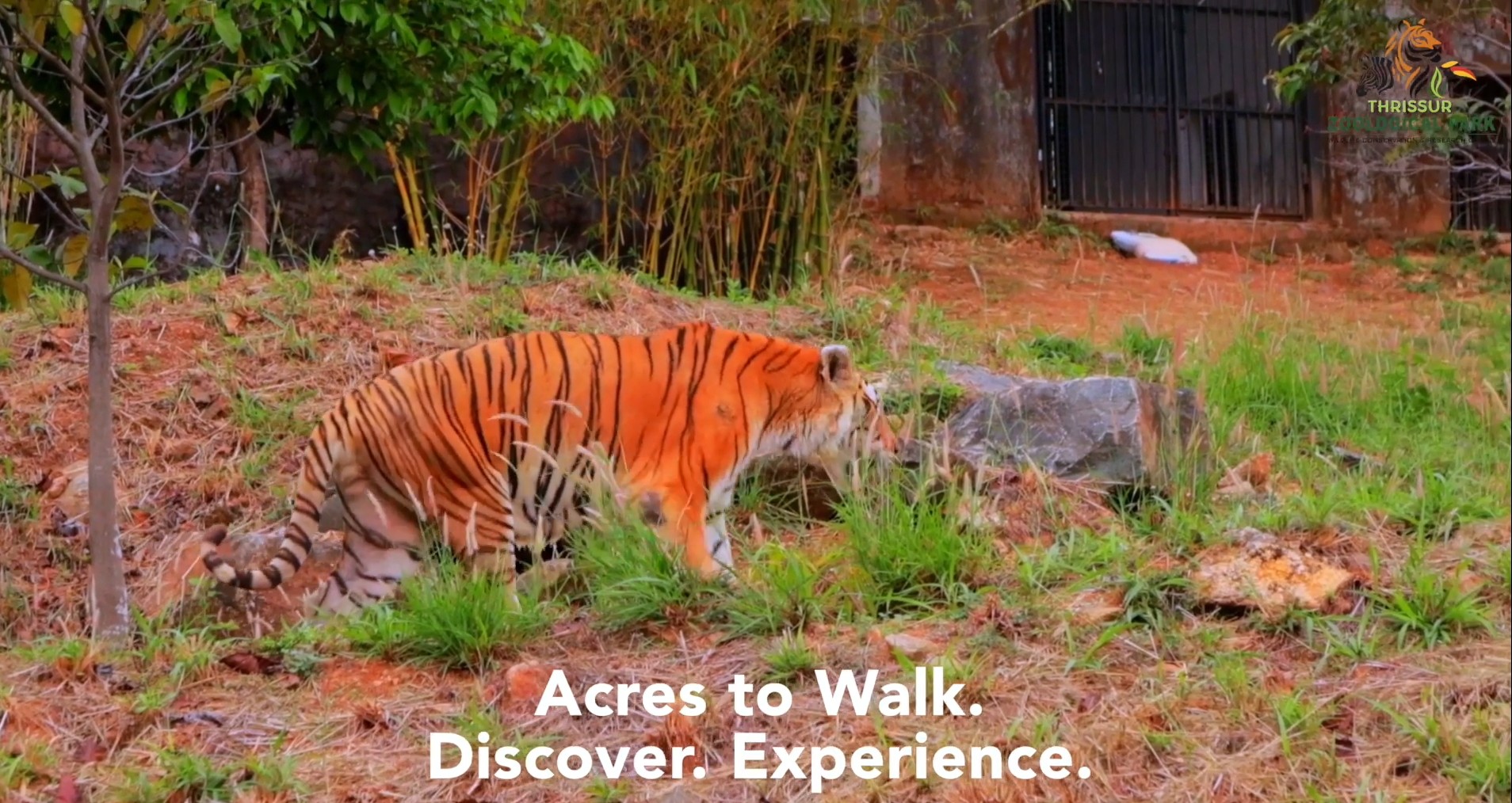 Zoo Panorama View
