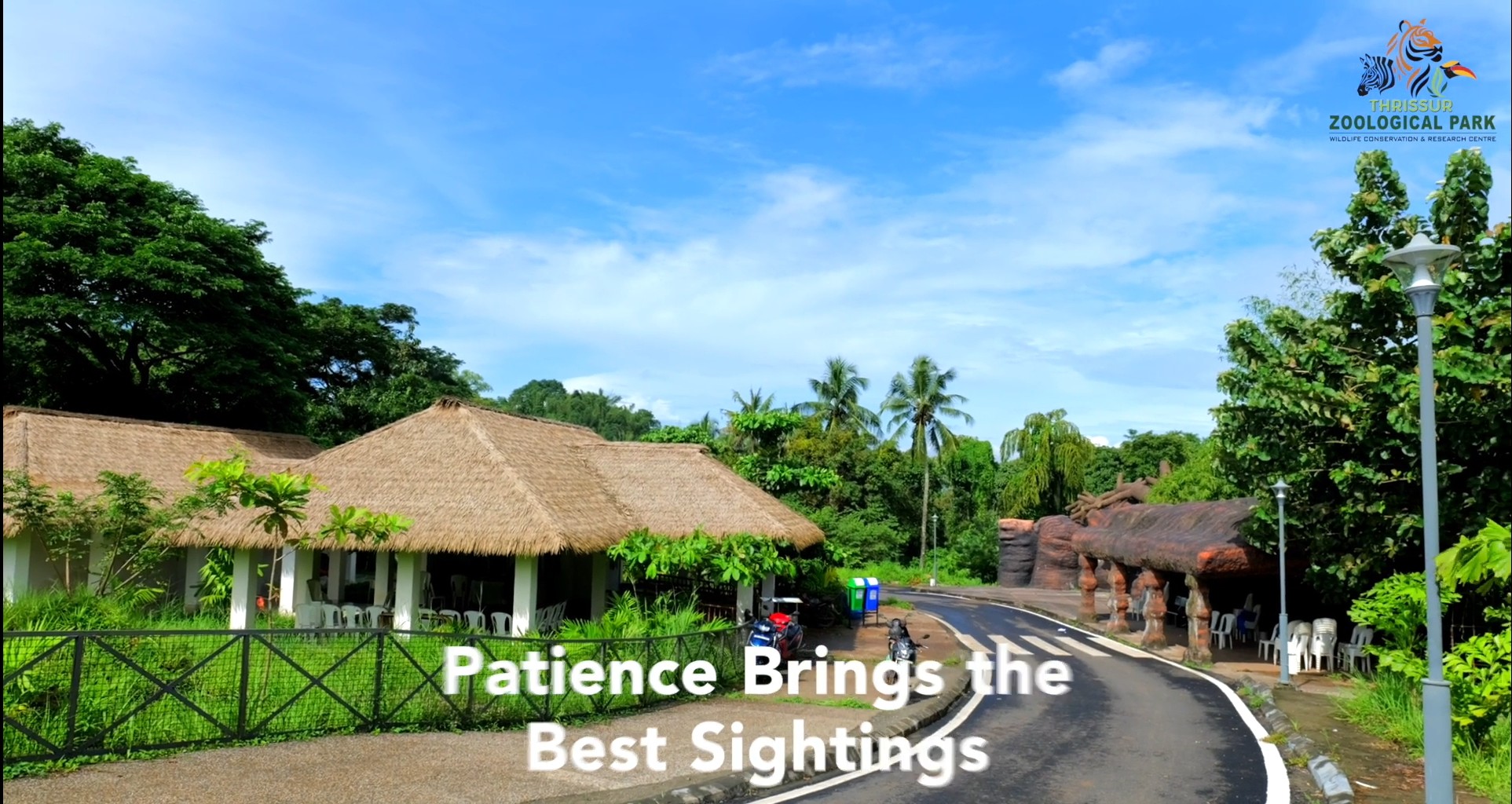 Patience Brings the Best Sightings