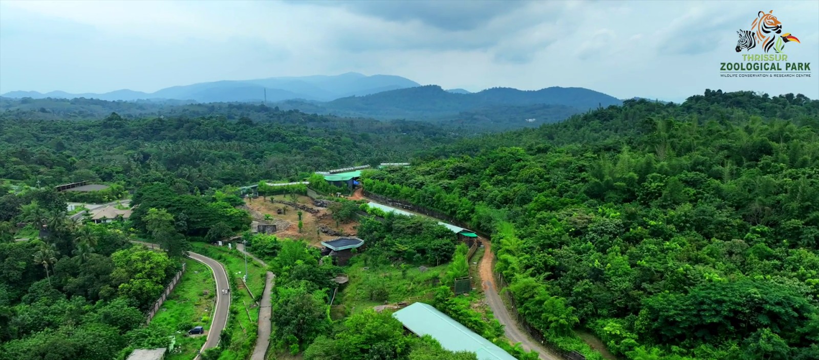Tiger Outcrop View